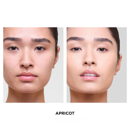 Vanish Airbrush Concealer